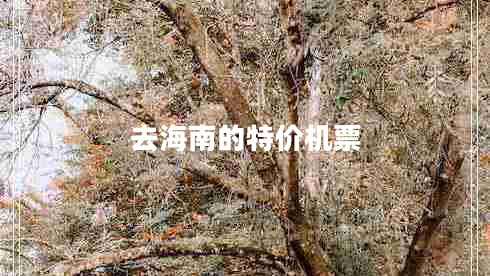 去海南的特價機票