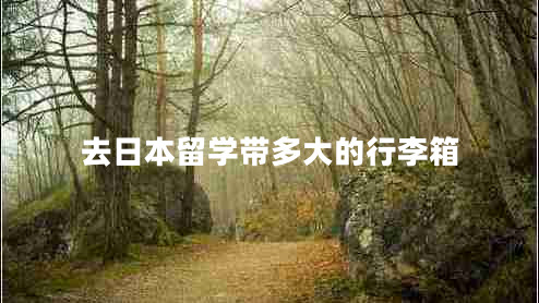 去日本留學(xué)帶多大的行李箱