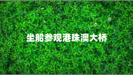 坐船參觀港珠澳大橋