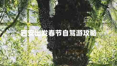 西安出發(fā)春節(jié)自駕游攻略