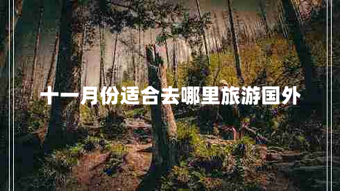 十一月份適合去哪里旅游國外