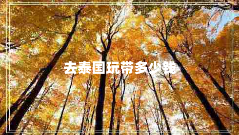 去泰國(guó)玩帶多少錢