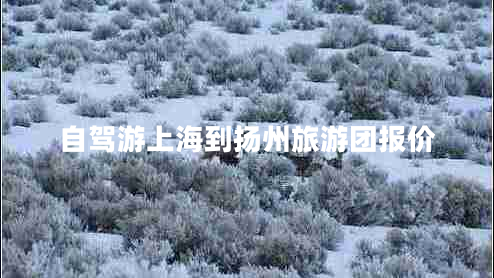 自駕游上海到揚州旅游團報價 自駕游上海到揚州旅游團報價