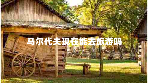 馬爾代夫現(xiàn)在能去旅游嗎 馬爾代夫現(xiàn)在能去旅游嗎