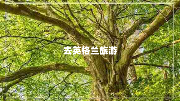 去英格蘭旅游
