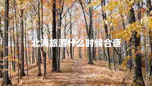 北海旅游什么時候合適 北海旅游什么時候合適