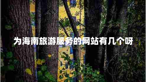 為海南旅游服務(wù)的網(wǎng)站有幾個呀
