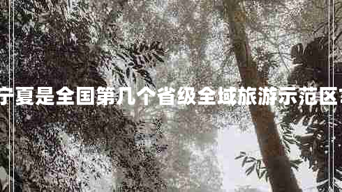 寧夏是全國第幾個省級全域旅游示范區(qū)?