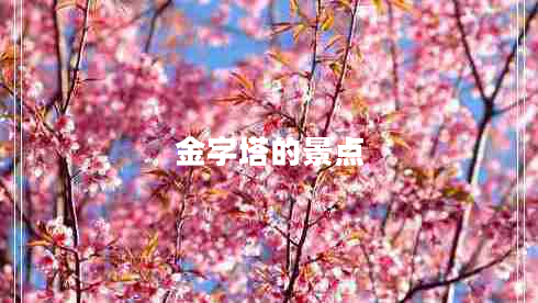 金字塔的景點(diǎn) 金字塔的景點(diǎn)