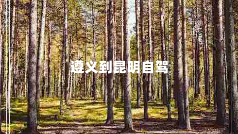 遵義到昆明自駕 遵義到昆明自駕