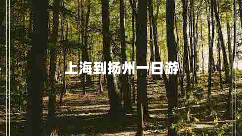 上海到揚(yáng)州一日游 上海到揚(yáng)州一日游