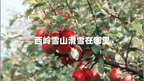 西嶺雪山滑雪在哪里 西嶺雪山滑雪在哪里