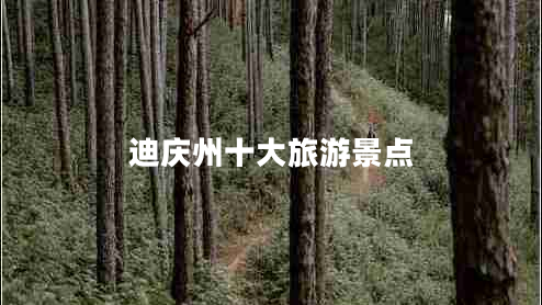 迪慶州十大旅游景點