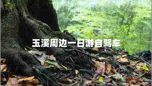 玉溪周邊一日游自駕車