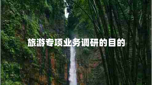 旅游專項(xiàng)業(yè)務(wù)調(diào)研的目的