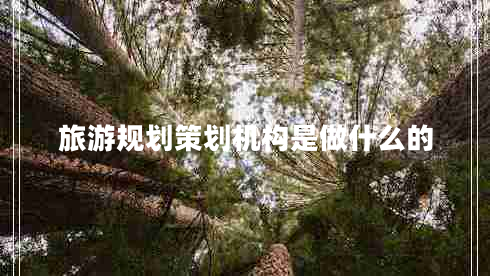 旅游規(guī)劃策劃機構是做什么的