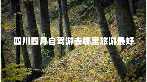 四川四月自駕游去哪里旅游最好 四川四月自駕游去哪里旅游最好