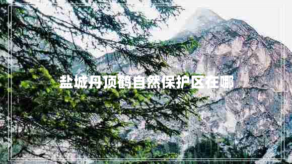 鹽城丹頂鶴自然保護區(qū)在哪