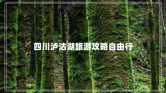 四川瀘沽湖旅游攻略自由行