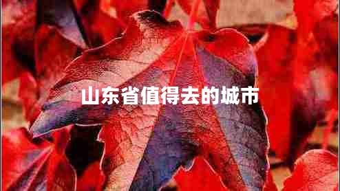山東省值得去的城市