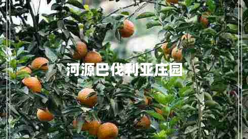 河源巴伐利亞莊園 河源巴伐利亞莊園