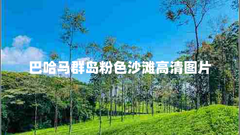 巴哈馬群島粉色沙灘高清圖片