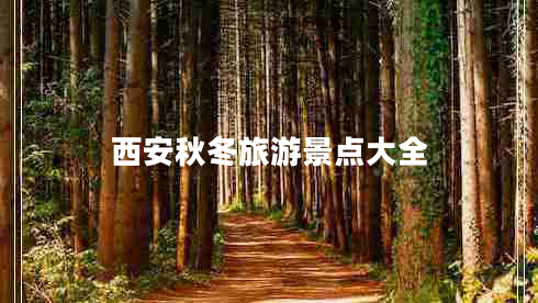 西安秋冬旅游景點(diǎn)大全