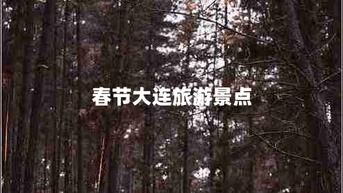 春節(jié)大連旅游景點