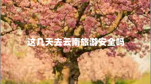 這幾天去云南旅游安全嗎
