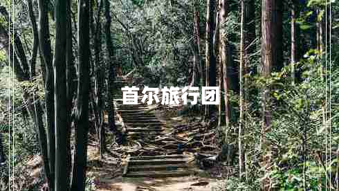 首爾旅行團(tuán) 首爾旅行團(tuán)