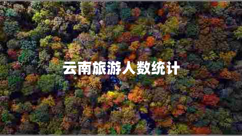 云南旅游人數(shù)統(tǒng)計