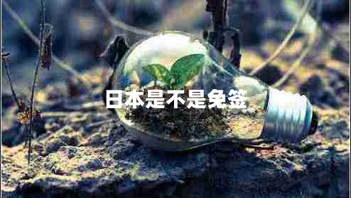 日本是不是免簽