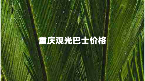 重慶觀光巴士價格