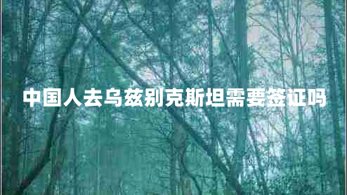 中國人去烏茲別克斯坦需要簽證嗎