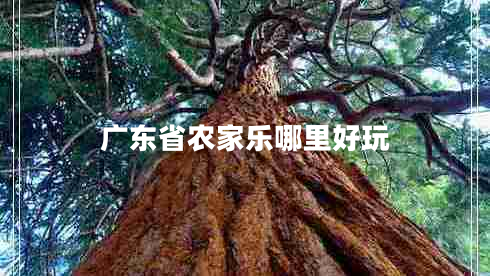 廣東省農家樂哪里好玩
