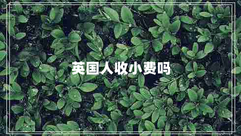 英國人收小費(fèi)嗎 英國人收小費(fèi)嗎