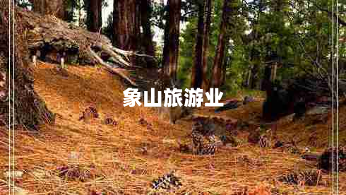 象山旅游業(yè) 象山旅游業(yè)