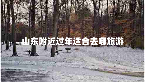 山東附近過(guò)年適合去哪旅游