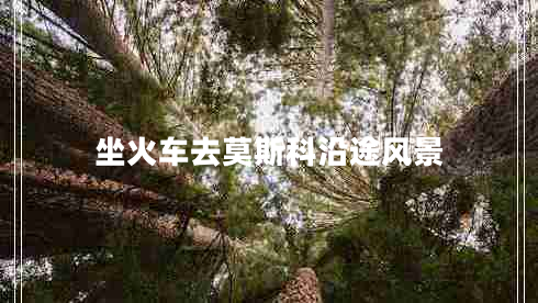 坐火車去莫斯科沿途風(fēng)景