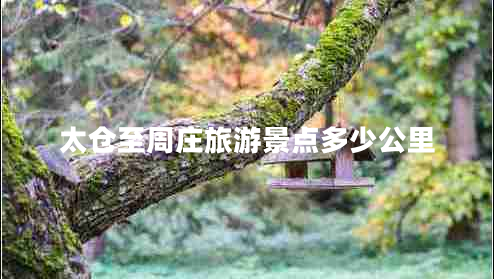 太倉至周莊旅游景點多少公里