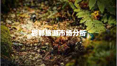 邯鄲旅游市場(chǎng)分析
