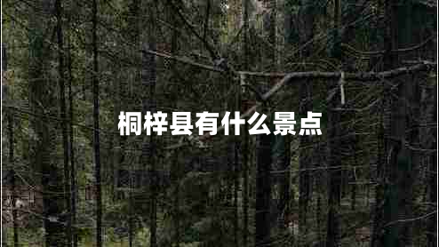 桐梓縣有什么景點