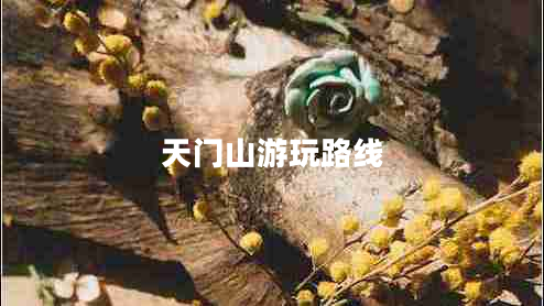 天門山游玩路線