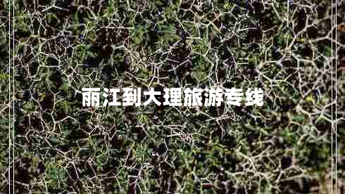 麗江到大理旅游專線 麗江到大理旅游專線