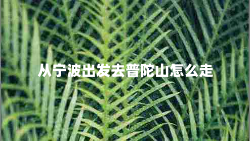 從寧波出發(fā)去普陀山怎么走 從寧波出發(fā)去普陀山怎么走