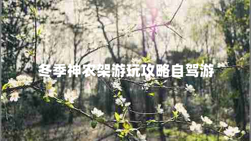 冬季神農(nóng)架游玩攻略自駕游