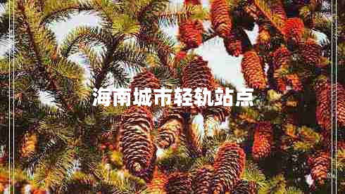 海南城市輕軌站點