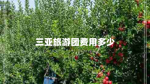 三亞旅游團費用多少