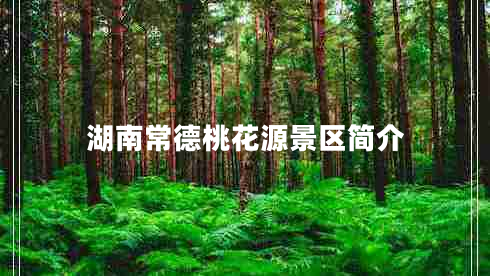 湖南常德桃花源景區(qū)簡介