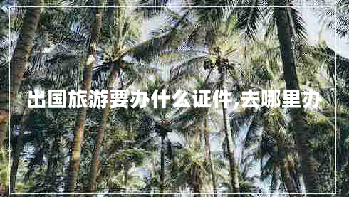 出國(guó)旅游要辦什么證件,去哪里辦